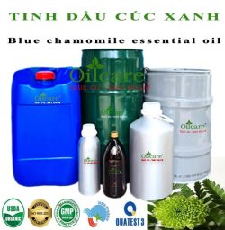 Tinh dầu cúc xanh Blue Chamomile