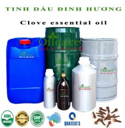 Tinh dầu đinh hương Clove bán lít sỉ buôn giá rẻ