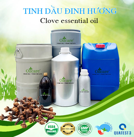 Bán Sỉ Tinh Dầu Đinh Hương Nguyên Chất