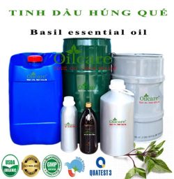 Tinh dầu húng quế Basil bán sỉ lít buôn giá rẻ