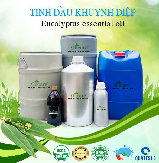 Bán Sỉ Tinh Dầu Khuynh Diệp Nguyên Chất
