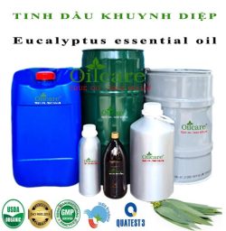 Tinh dầu bạch đàn khuynh diệp Eucalyptus bán lít sỉ buôn giá rẻ