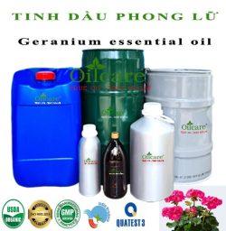 Tinh dầu phong lữ Geranium bán lít sỉ buôn giá rẻ