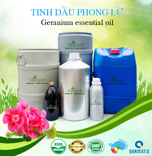 Bán Sỉ Tinh Dầu Phong Lữ Nguyên Chất, Số Lượng Lớn (Lít, Kg) - Giá Cả Cạnh Tranh