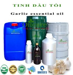 Tinh dầu tỏi Garlic bán lít sỉ buôn kg tại nha trang