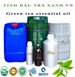 Tinh dầu trà xanh giá sỉ bán lít kg buôn giá rẻ