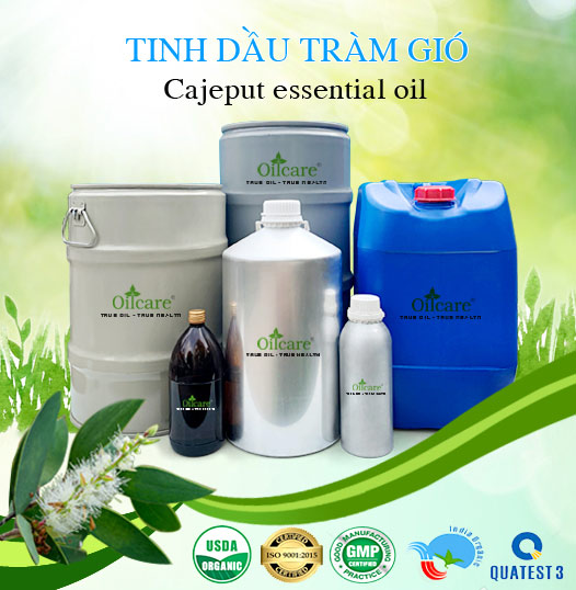 Bán Sỉ Tinh Dầu Tràm Gió Nguyên Chất, Số Lượng Lớn (Lít, Kg) - Giá Cả Cạnh Tranh