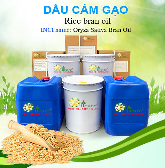 Bán Sỉ Dầu Cám Gạo Nguyên Chất – Số Lượng Lớn (Lít, Kg)