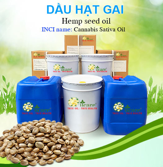 Bán Sỉ Dầu Hạt Gai Nguyên Chất Số Lượng Lớn (Lít, Kg) - Giá Cả Cạnh Tranh