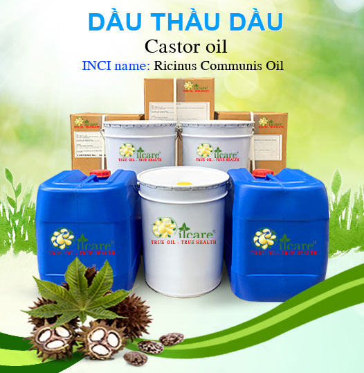 Bán Sỉ Dầu Thầu Dầu Nguyên Chất - Số Lượng Lớn (Lít, Kg) - Giá Cả Cạnh Tranh