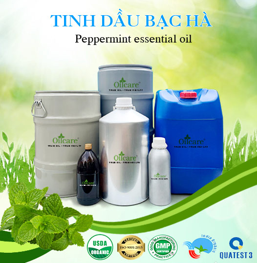 Bán Sỉ Tinh Dầu Bạc Hà Nguyên Chất, Số Lượng Lớn (Lít, Kg) - Giá Cả Cạnh Tranh