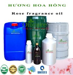 Hương hoa hồng Rose bán lít sỉ buôn giá rẻ