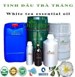 Tinh dầu trà trắng White tea bán sỉ buôn lít giá rẻ tại tphcm hà nội đà nẵng