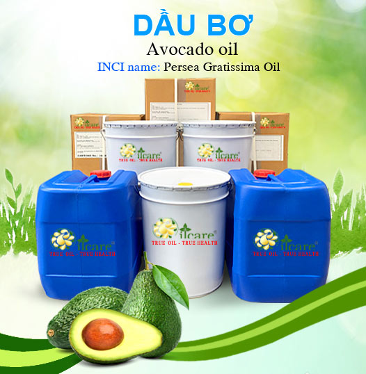 Bán Sỉ Dầu Trái Bơ Nguyên Chất Số Lượng Lớn (Lít, Kg)