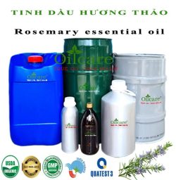 Tinh dầu hương thảo Rosemary bán lít sỉ buôn kg