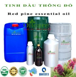 Tinh dầu thông đỏ Red Pine nguyên chất bán sỉ buôn lít rẻ