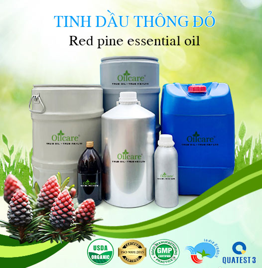 Bán Sỉ Tinh Dầu Thông Đỏ Nguyên Chất