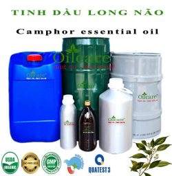 Tinh dầu long não Camphor bán lít sỉ buôn giá rẻ