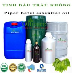 Tinh dầu trầu không Piper betel bán lít sỉ buôn giá rẻ