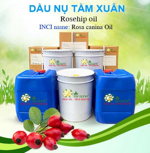 Bán Sỉ Dầu Nụ Tầm Xuân Nguyên Chất Số Lượng Lớn (Lít, Kg) - Giá Cả Cạnh Tranh
