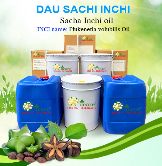 Bán Sỉ Dầu Sacha inchi Nguyên Chất Số Lượng Lớn (Lít, Kg) - Giá Cả Cạnh Tranh