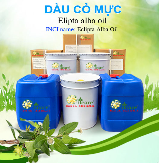 Bán Sỉ Dầu Cỏ Mực Nguyên Chất - Số Lượng Lớn (Lít, Kg) - Giá Cả Cạnh Tranh