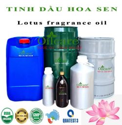 Tinh dầu hoa sen Lotus bán sỉ buôn lít kg