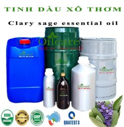 Tinh dầu xô thơm clary sage bán sỉ kg lít buôn