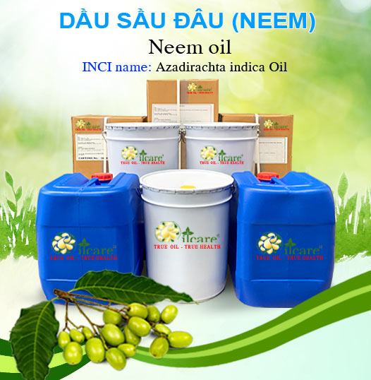 Bán Sỉ Dầu Neem (Sầu Đâu) Nguyên Chất Số Lượng Lớn (Lít, Kg) - Giá Cả Cạnh Tranh