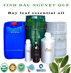 Tinh dầu nguyệt quế Bay leaf bán sỉ lít kg buôn