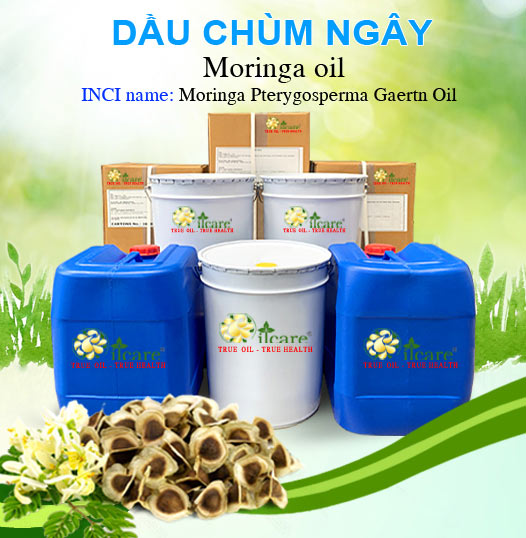 Bán Sỉ Dầu Chùm Ngây Nguyên Chất Số Lượng Lớn (Lít, Kg) - Giá Cả Cạnh Tranh