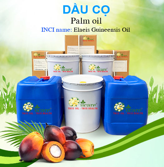 Bán Sỉ Dầu Cọ - Cook ĐB Nguyên Chất Số Lượng Lớn (Lít, Kg) - Giá Cả Cạnh Tranh
