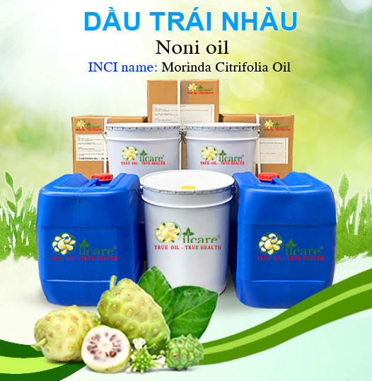 Bán Sỉ Dầu Trái Nhàu Nguyên Chất Số Lượng Lớn (Lít, Kg) - Giá Cả Cạnh Tranh