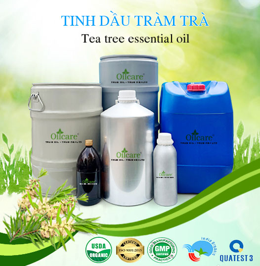 Bán Sỉ Tinh Dầu Tràm Trà Nguyên Chất, Số Lượng Lớn (Lít, Kg) - Giá Cả Cạnh Tranh
