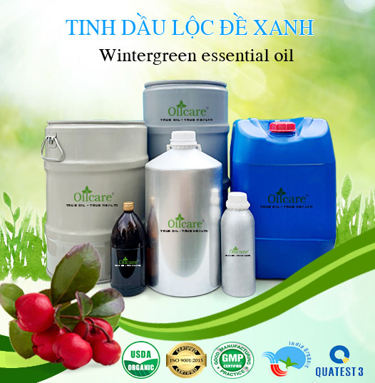 Bán Sỉ Tinh Dầu Lộc Đề Xanh Nguyên Chất, Số Lượng Lớn (Lít, Kg) - Giá Cả Cạnh Tranh