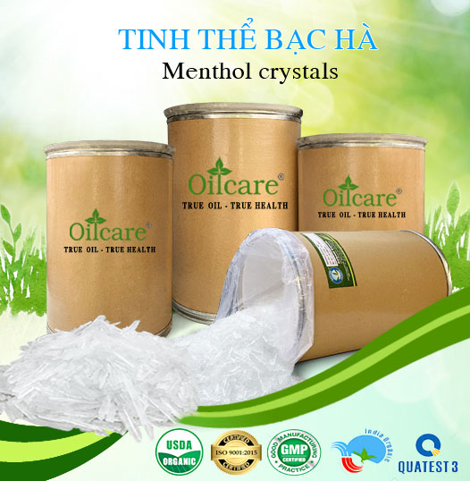 Bán Sỉ Tinh Thể Bạc Hà Nguyên Chất, Số Lượng Lớn (Kg, Thùng) - Giá Cả Cạnh Tranh