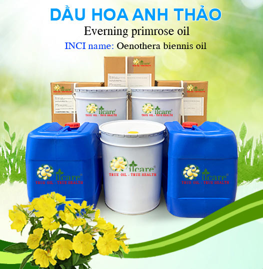 Bán Sỉ Dầu Hoa Anh Thảo Nguyên Chất Số Lượng Lớn (Lít, Kg) - Giá Sỉ Cạnh Tranh