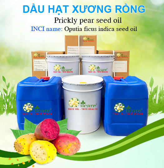 Bán Sỉ Dầu Hạt Xương Rồng Nguyên Chất Số Lượng Lớn (Lít, Kg) - Giá Sỉ Cạnh Tranh