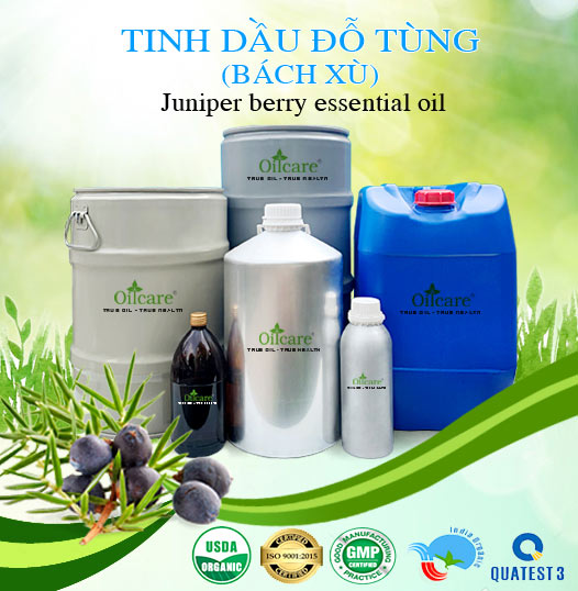 Bán Sỉ Tinh Dầu Đỗ Tùng-Bách Xù Nguyên Chất, Số Lượng Lớn (Lít, Kg) - Giá Cả Cạnh Tranh