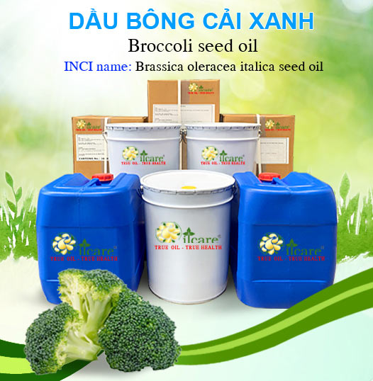 Bán Sỉ Dầu Bông Cải Xanh Nguyên Chất Số Lượng Lớn (Lít, Kg) - Giá Cả Cạnh Tranh